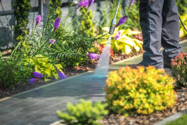 Best Boat and Dock Cleaning  in Lyncourt, NY